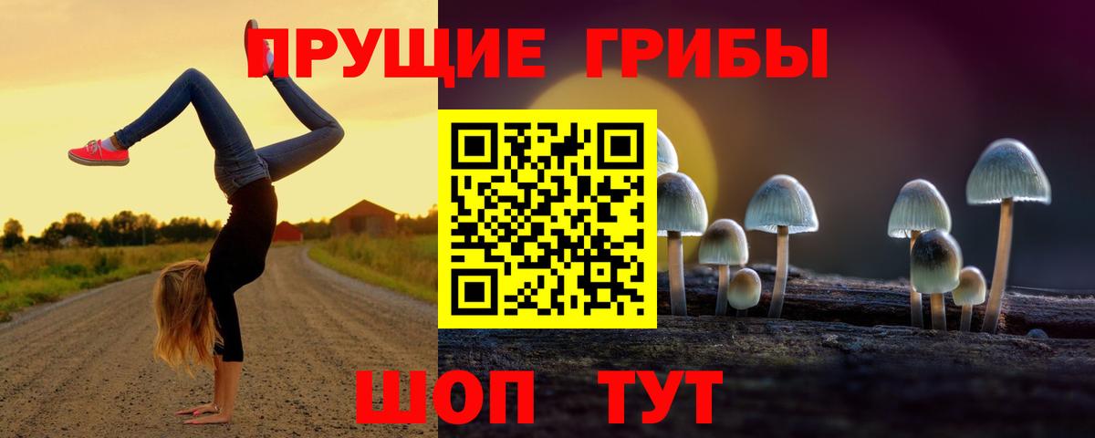 Галлюциногенные грибы Psilocybine cubensis Дзержинский